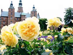 El Castillo Rosenborg desde los jardines