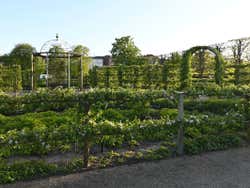 Kongens Have