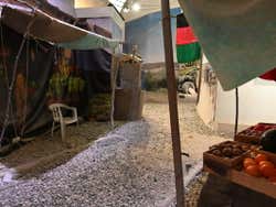 Visitando el Museo de la Guerra